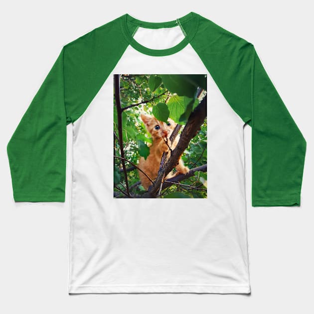 kitten in the tree Baseball T-Shirt by psychoshadow